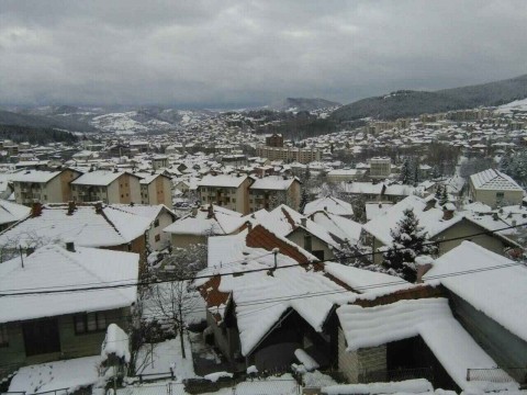PLJEVLJA 12. MART 2019 (9)