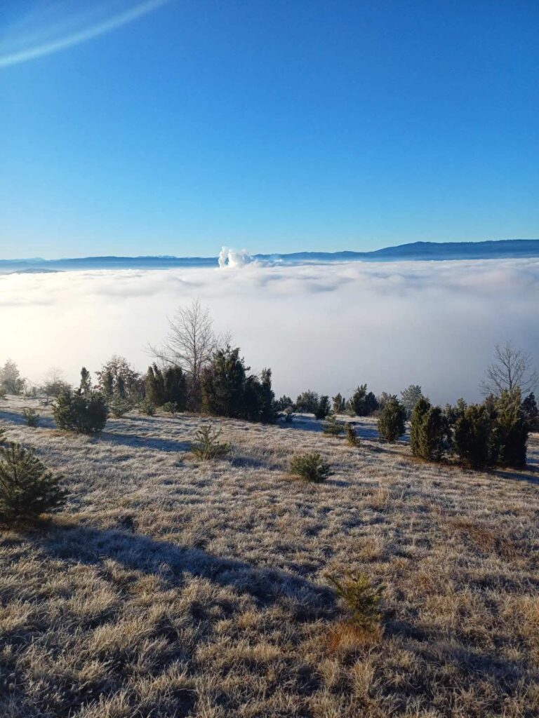 Mjere u vezi sa zagađenjem vazduha u Pljevljima nakon zvaničnih nalaza CETI