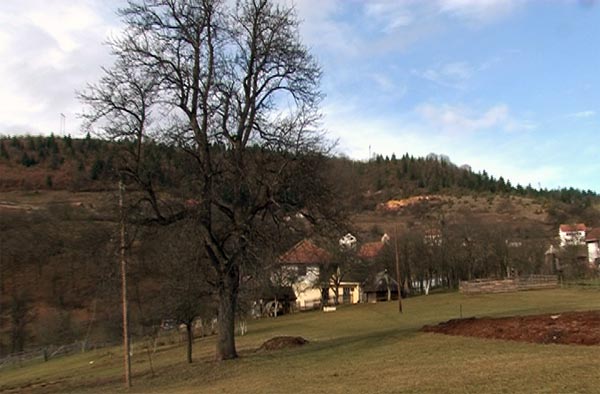 Slana i mraz uništili vrtove i voćke u planinskim selima