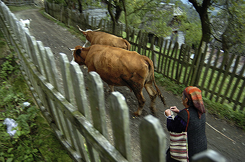 Sprovedeno istraživanje o potrebama žena u ruralnim oblastima