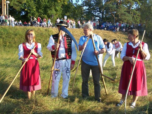 Majstori kose