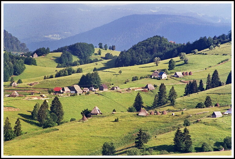 Likovna kolonija na Kosanici