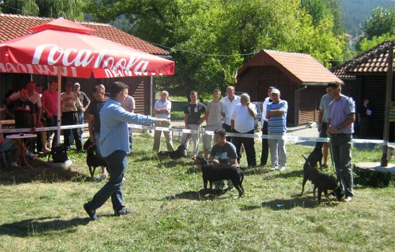 Izložba crnogorskih planinskih goniča