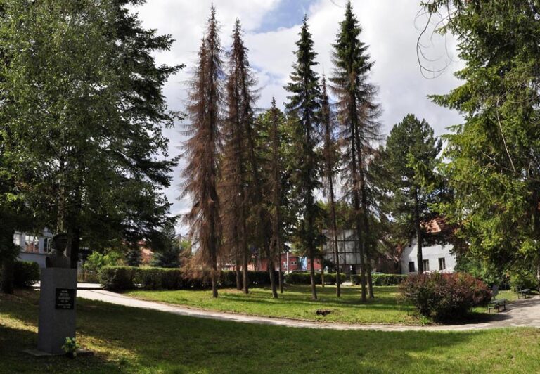Ljudi opstaju priroda posustaje