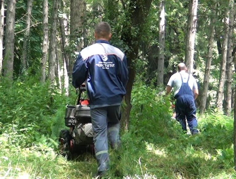 Javni oglas DOO Čistoća o davanju šuma na korišćenje