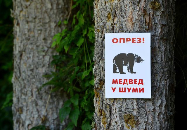 Prijepolje: Šume od lopova čuva – kamera