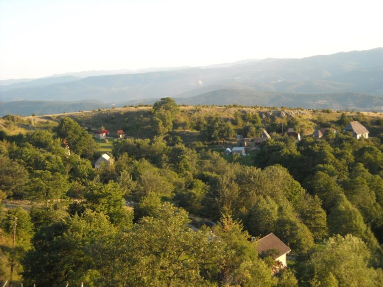 MJEŠTANI CRLJENICE PROTIV ASFALTNE BAZE