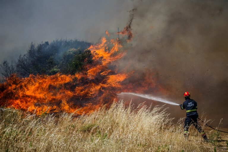 Prijepolje: Starac stradao tokom gašenja požara na svom imanju