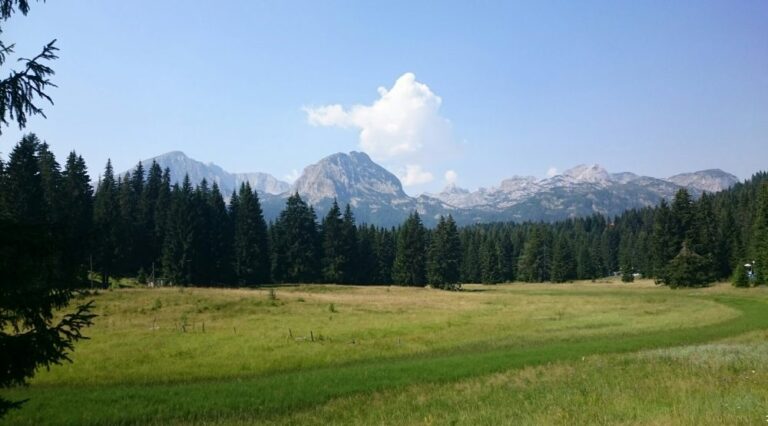 Sjutra besplatan ulaz u NP Durmitor