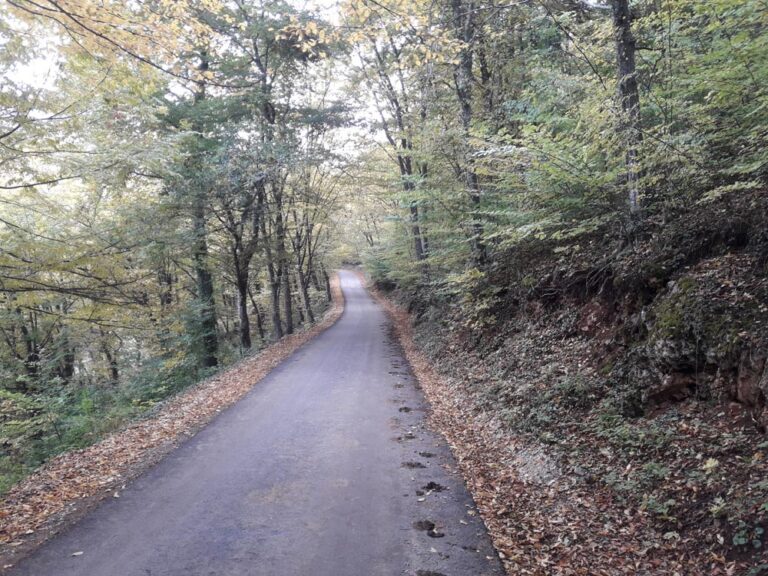 Jesenje jutro u parku