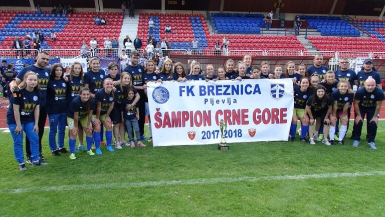 Treća uzastopna titula za Breznicu