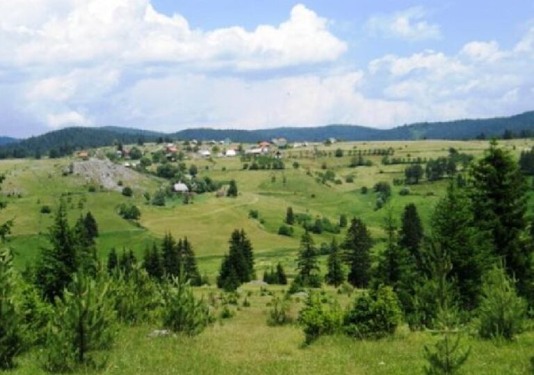 Nelegalno prešao granicu, unio etil-alkohol vrijedan skoro 43.000 eura