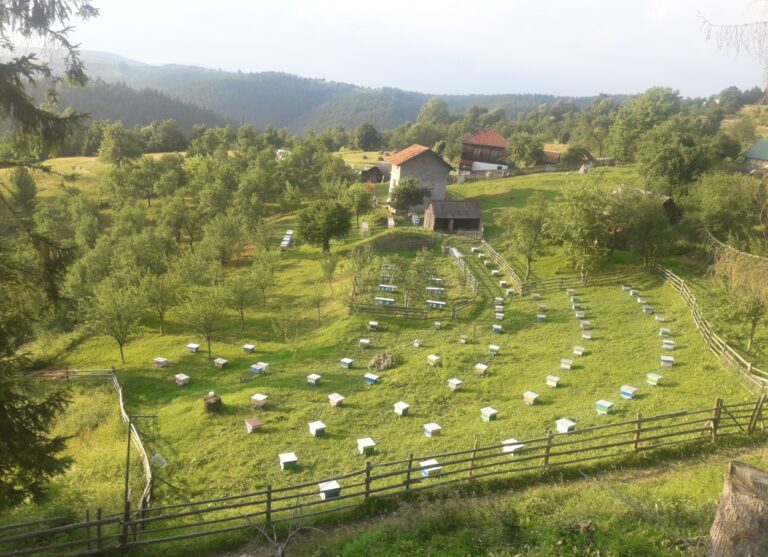 Raspored vrsta i sorti u voćarstvu
