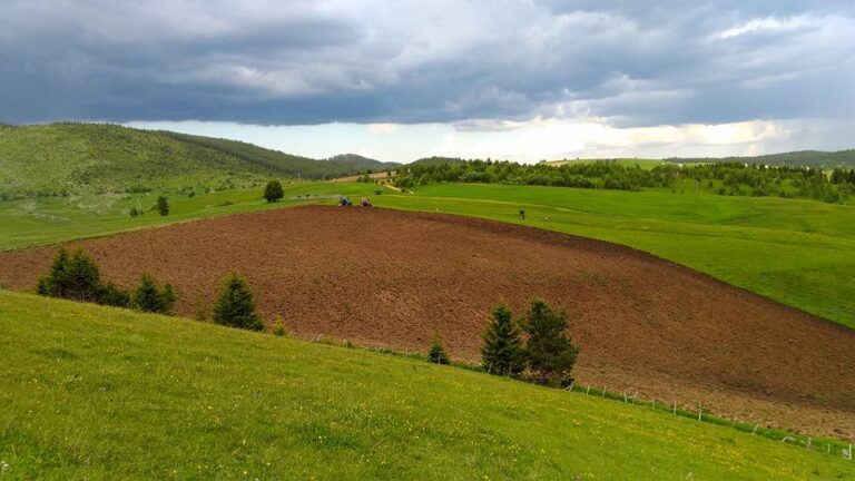 Proizvodnja heljde u planinskim područijima