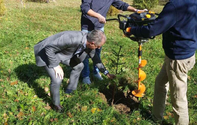 Vlada izdvojila sredstva za pošumljavanje: Za svakog stanovnika Crne Gore po jedna sadnica