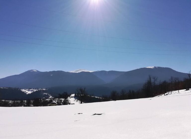 LJUBIŠNJA