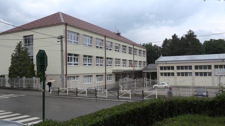 U OŠ “Ristan Pavlović”prelaznost 95,78 %