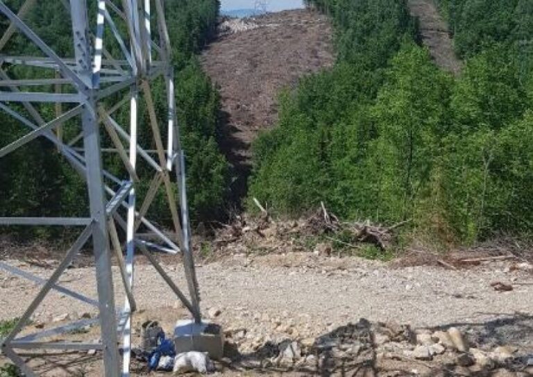 Pojedini službenici Uprave za šume u Pljevljima napravili propuste