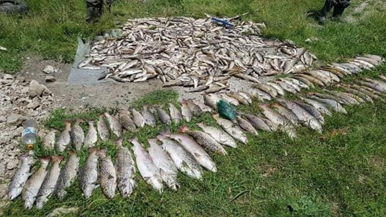 Oporavak Ćehotine tek za pet do osam godina