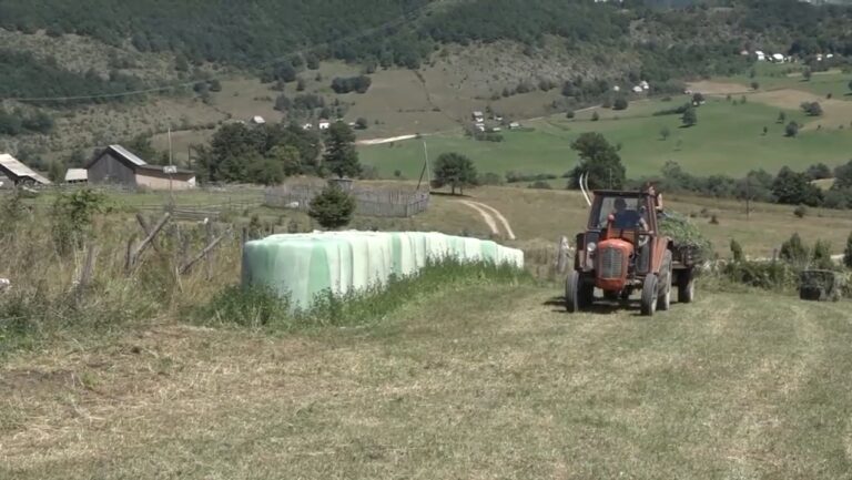 Priča o procesu pravljenja rolo bala Milka Živkovića iz sela Lijeska
