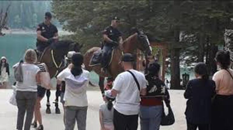 KONJIČKA POLICIJA