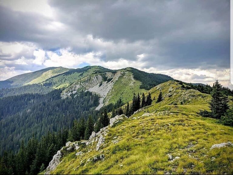 “ZNAČAJ I ULOGA PLANINARSTA U TURISTIČOJ PONUDI CRNE GORE I PLJEVALJA”