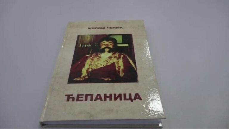 Roman „Ćepanica“ Miloša Čepića