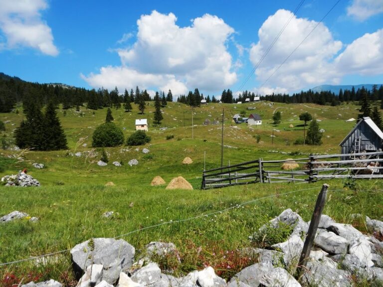 Pljevaljska sela sve praznija