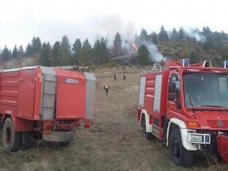 Za 25 dana ugasili 108 šumskih požara