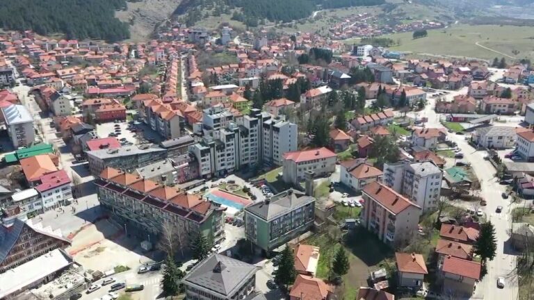 Čolović: Rad nas samo može izvući iz problema