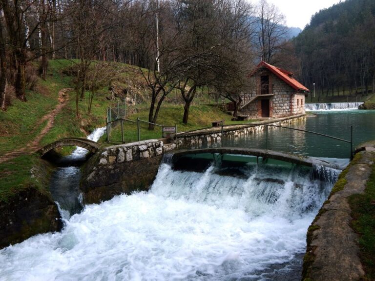 Breznica uskoro veliko mrijestilište