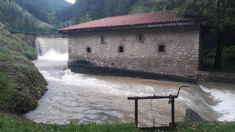 Nabujala Breznica