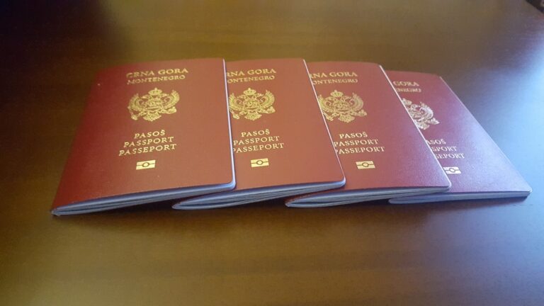 Za zemlje EU od naredne godine treba dozvola za putovanje
