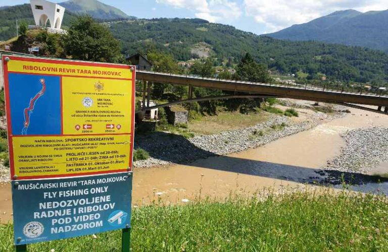 Mitrović – Za zamućenje Tare kriva su braća Mišnjić iz Mojkovca