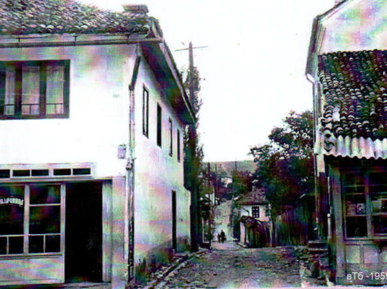 PLjEVALjSKE ULICE, SOKACI , MAHALE…(1)