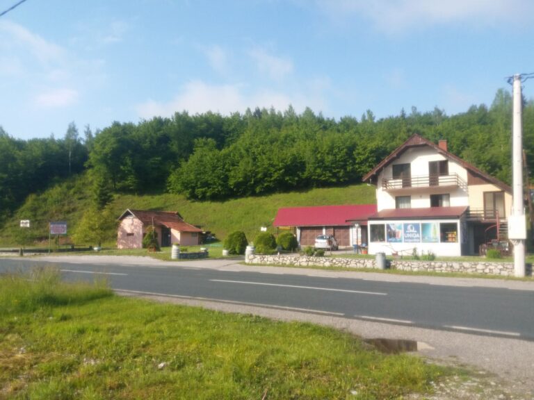 Povoljno kuća od 250 m2, poslovni prostor i dva pomoćna objekta
