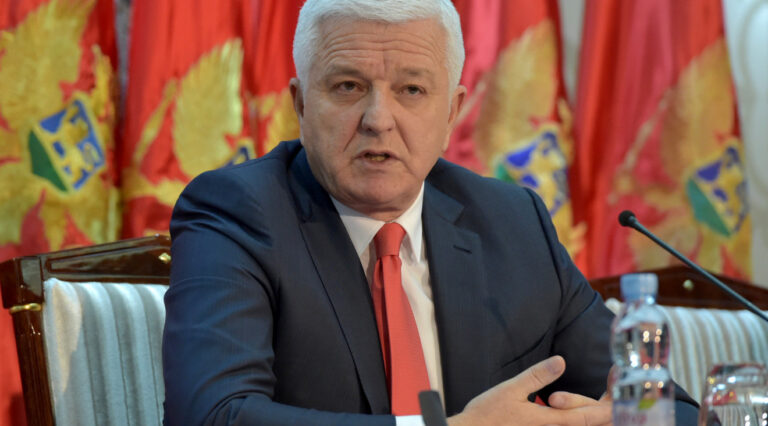 Očuvanjem životne sredine i održivom valorizacijom prirodnih potencijala dalje razvijati Pljevlja
