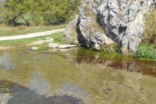 Sukob Opštine Pljevlja i NVO sektora: Zabrana prisustva sastanku o ekološkim pitanjima?