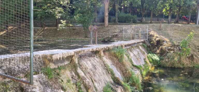SRK „Lipljen“: Breznica ispod biološkog minimuma, ugrožena potočna pastrmka