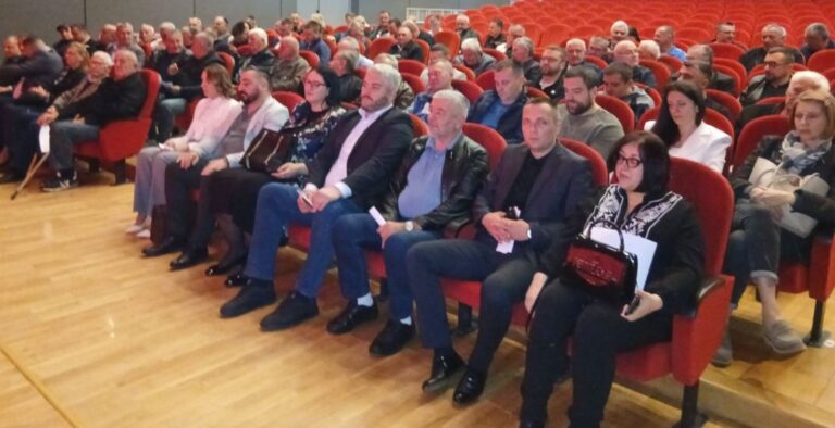 ПОТВРЂЕНО ЈЕДИНСТВО, ИЗАБРАНИ ПОТПРЕДСЈЕДНИЦИ ПРЕДСЈЕДНИШТВО ОО НСД ПВ