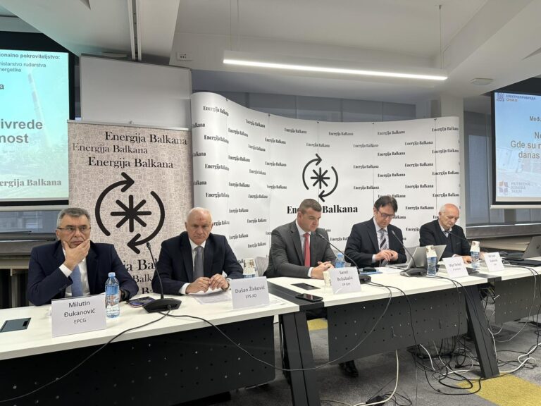ĐUKANOVIĆ: DO KRAJA GODINE RASPISAĆEMO TENDER ZA NABAVKU BATERIJSKIH SISTEMA