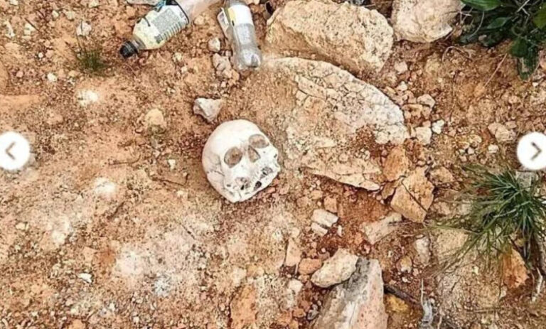 Jezivo otkriće u Pljevljima: Pronađeni lobanja i kosti, poslati na vještačenje