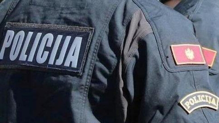 Pljevlja: Krivična prijava protiv maloljetnika i dva punoljetna lica zbog nasilnočkog ponašanja izvršenog u Pljevljima na štetu maloljetnika
