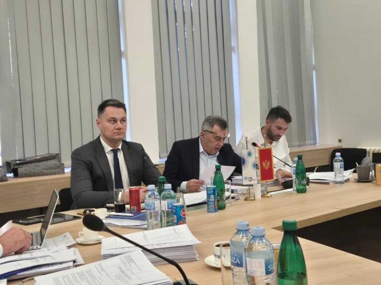 Imenovan novi Odbor direktora Rudnika uglja Pljevlja